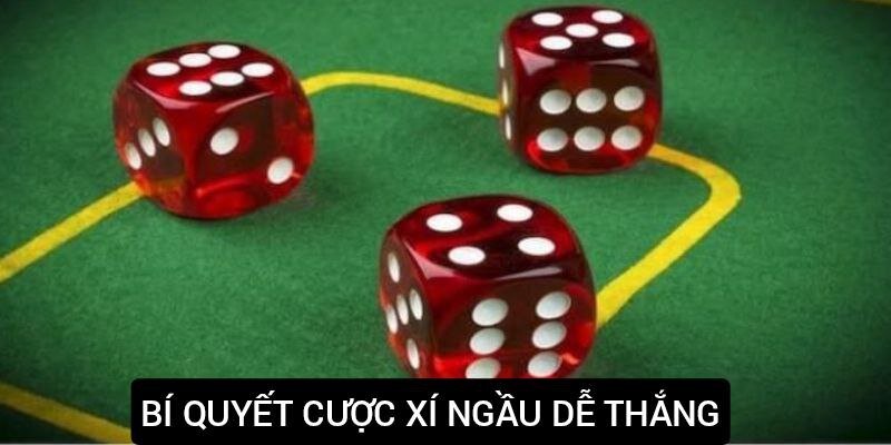 Game Xí Ngầu Là Gì? Bí Quyết Giành Thắng Lợi Mọi Ván Đấu